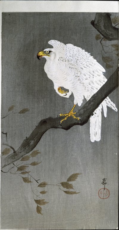 Falcon on a Branch, 1907 by Ohara Koson